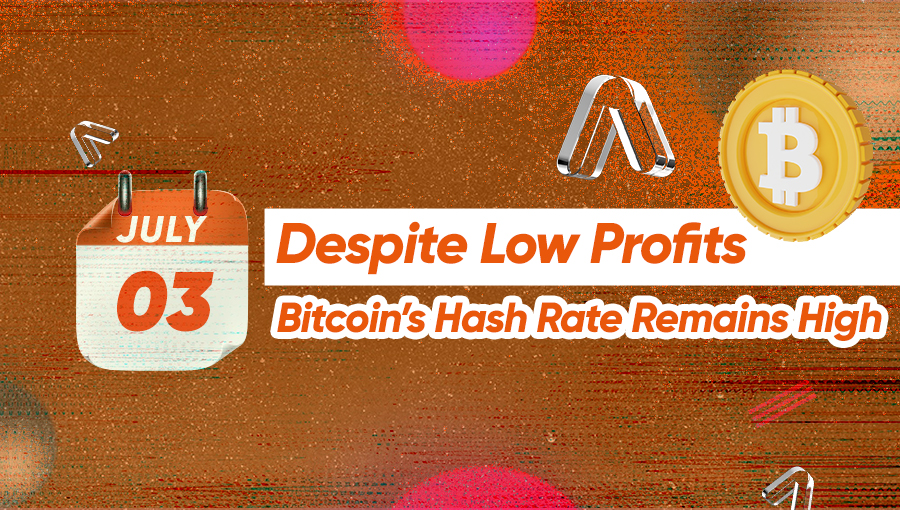 Despite Low Profits, Bitcoin’s Hash Rate Remains High 